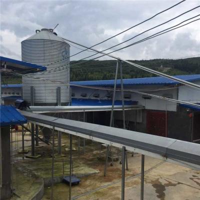 China Galvanized Poultry Farming Equipment 15 Tons Capacity For Chicken Feed for sale
