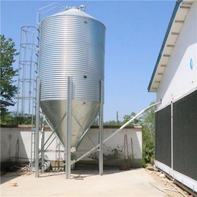 China Commercial Broiler Farm Equipment With Hopper , Labor Saving Feed Storage Silo for sale