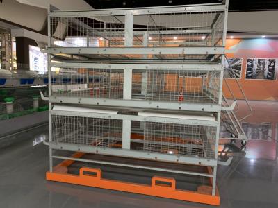 Chine Agriculture antirouille de cage de batterie de pondeuses de cage de couche d'oeufs de poulet à vendre