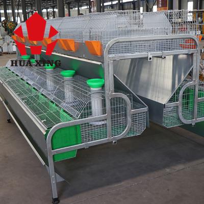 China Fabricante industrial de la jaula de la granja del conejo de la carne del gran escala de tipo europeo/jaula comercial de la cría del conejo en venta
