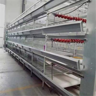 China 3 Tiers H Type Layer Chicken Cage For Broiler Farm Cold Galvanized for sale