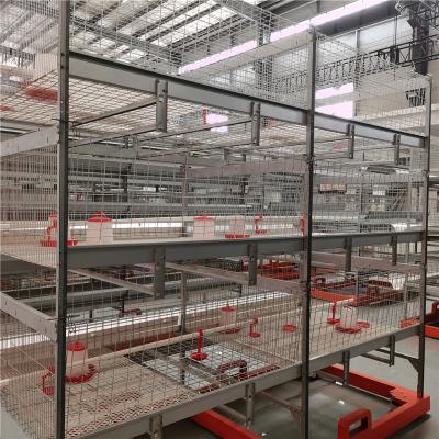 China U Shape Steel Broiler Chicken Cage With PVC Pipe , Nipple Drinker for sale