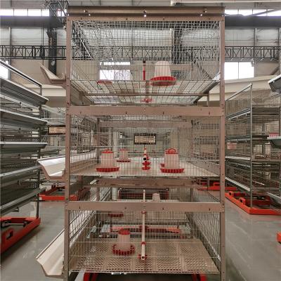 China Q235 Wire Broiler Battery Cage System Poultry Farm Products for sale
