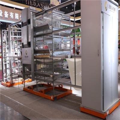 Chine type de 8 rangées h cage en acier pour l'équipement d'aviculture de poulets de couches à vendre