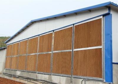 Chine Adaptez la protection aux besoins du client humide de refroidissement de protection de refroidissement par évaporation de protection avec la vue en aluminium pour la maison automatique de volaille à vendre