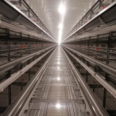 China Automatic H Type Layer Chicken Cage Battery Chicken Cages For Poultry Farm for sale