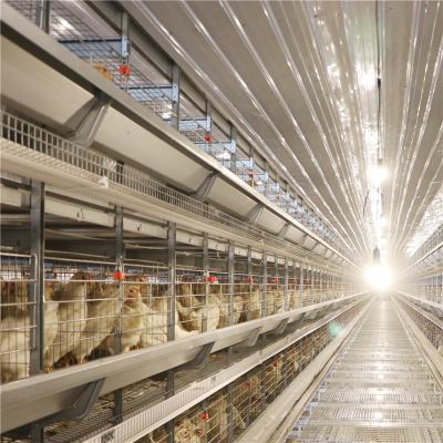 China 4 tiers 8 doors Automatic Layer Chicken Cage For Layers Q235 Steel Wire for sale