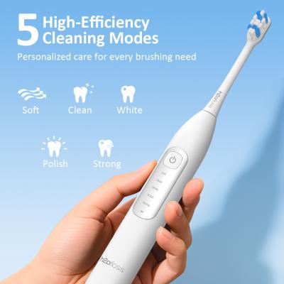 China Eco Friendly Quality Private Label IPX7 Portable Smart Electric Adult Toothbrush Sets for sale