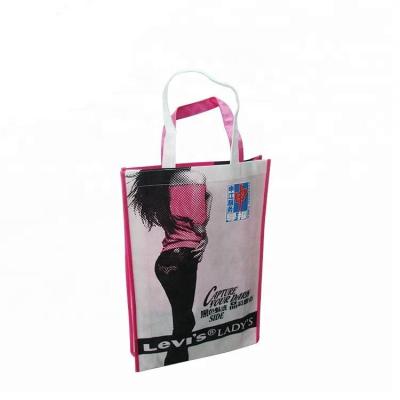 China Laminated PP Woven Bag, Non-Woven Shopping Tote Bag for sale