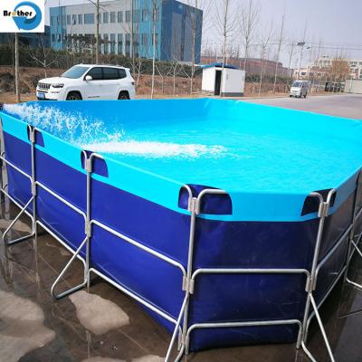 China Biofloc fish tank aquaculture fish farming tanks en venta