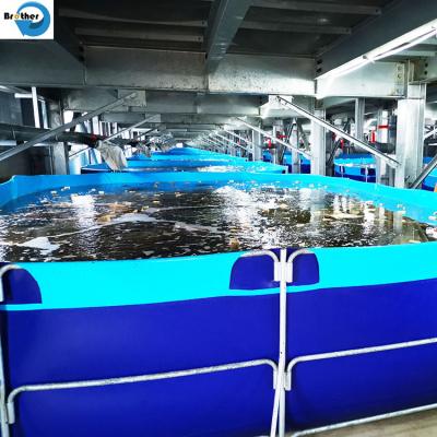 中国 Food grade drinking water bag flexible frame tank for water storage 販売のため
