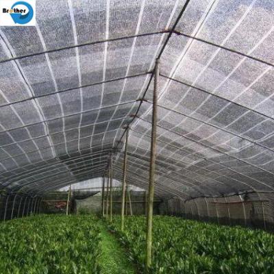 Cina New HDPE Agriculture Greenhouse Garden Black Plastic 70% Sunshade Netting, Vegetable Greenhouse Dark Green Sunshade Net in vendita