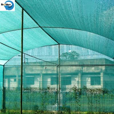 Cina 4X50m Roll 80% Green Shade Net for Greenhouse, Hot Sale Sun Shading Net/Sun Shade Net Price/Agricultural Shade Net in vendita