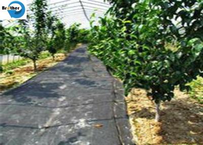 China Garden Use Woven Weed Mat Plant Nursery Ground Cover Weed Control Mat PP Landscaping Fabric for sale