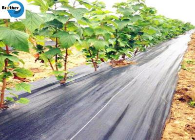 中国 Black Weed Barrier Woven Ground Cover Weed Control Mat Landscaping Fabric 販売のため