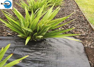 China High Quality UV Treated Gardening Flower Weed Control Ground Cover Woven Fabric zu verkaufen