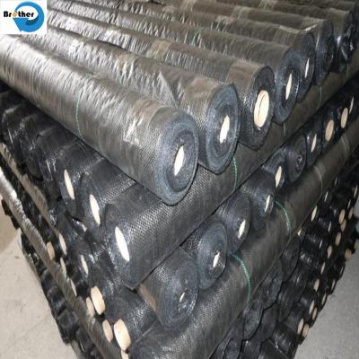 China Green Woven Fabric Weed Control Mat/Anti Root Mat/Green Ground Cover Fabric Cloth with Holes in Rolls en venta