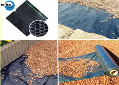 中国 PP Slit Film Woven Weed Control Ground Cover Membrane Landscape Fabric 販売のため