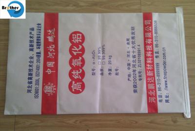 中国 3kg 5kg 15kg PP Woven Laminated Kraft Paper BBQ Charcoal Packing Bags 販売のため