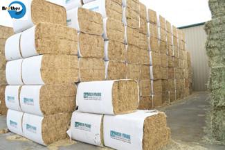 China Mini Round Hay Bale Wrapper for Sale,Wear Resisting Hay Bale Sleeves Woven Polypropylene Cloth BOPP Film for sale
