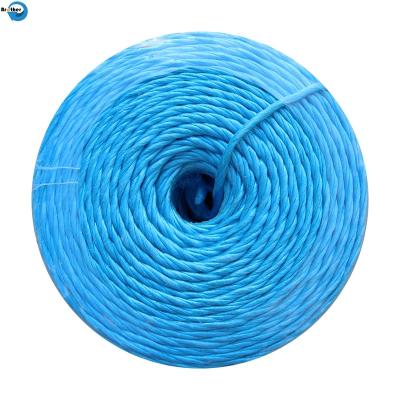 China hay-knitting polypropylene twine twisted 4 mm for sale