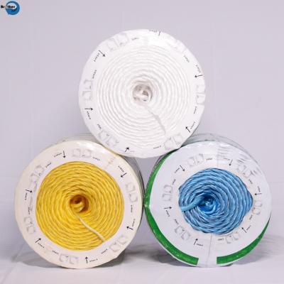 China plastic pp twine spool/ agricultural pp baler twine for sale