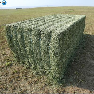 China High Quality PP Twine Manufacture Baler Twine For Agriculture In China for sale