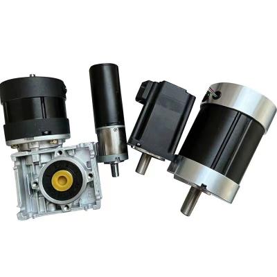 China Size 30mm-110mm Power 10w-2000w Customizable Brushed Brushless PM Electric Dc Motor CE RoHS 12vdc 24vdc 36vdc 48~60vdc for sale