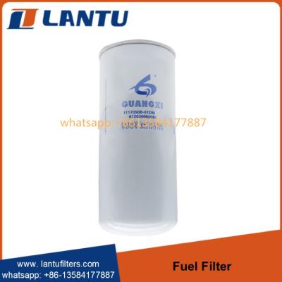 China Lantu Fuel filter 612630080087 R010018 FF5740 1000422382 117050A81DM for WEI-CHAI WP10 engine for sale
