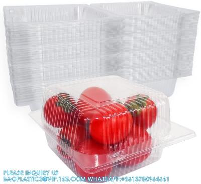 China Square Hinged Food Container,Plastic Take Out Containers,Disposable Clamshell Food Containers For Salads,Pasta for sale