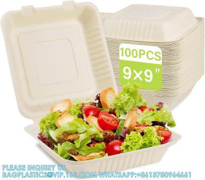China 100% Compostable Clamshell Take Out Food Containers [8X8