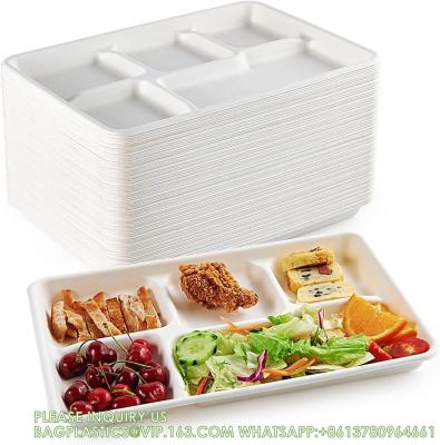 China 5 Compartment Plates, 125 Pack Disposable Paper Plates, Biodegradable Sugarcane Plates, Eco-Friendly School for sale