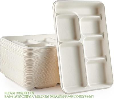 Китай Компостируемые 6 отделных тарелок, 90 упаковок отделных бумажных тарелок, 12,5 * 8,6 дюймов одноразовые школьные обеденные подносы продается