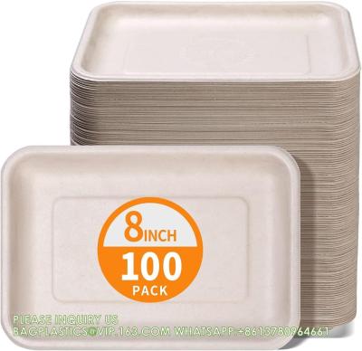 China 8 pulgadas de papel pesado, resistente a la flexión compostable de tamaño medio bandejas desechables para tacos, carne, sándwich, postre en venta
