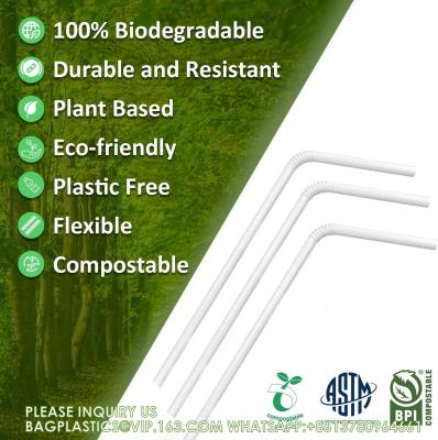China Pajas compostables 7 3/4 pulgadas de largo - Pajas desechables claras, pajas ecológicas para beber para batidos de batido de leche en venta