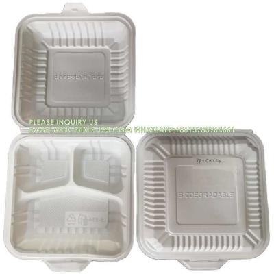 China Wholesale 8 Inch Degradable Snap Button Clamshell Lunch Wrapper Bento Box Disposable Food Take Away Packaging for sale