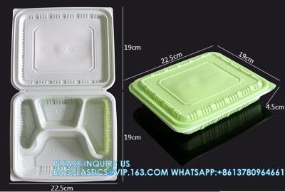Китай Фабрика прямые продажи takeaway пищевая упаковка и хранение контейнеры одноразовые пластиковые продукты питания банто коробки для обеда продается