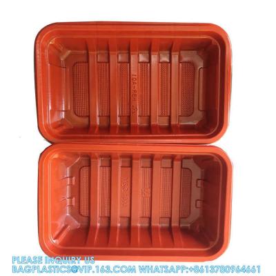 China 1000 ml Compartimientos únicos rectangulares Reutilizables en microondas Contenedor de comida para llevar en venta