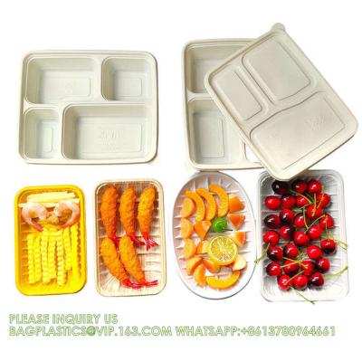 China Disposable Biodegradable Sugarcane Bagasse Pulp Food Container Take Away Lunch Box Sugar Cane Food Container for sale