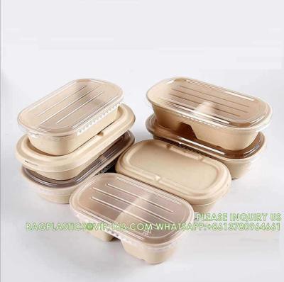 China Wholesale Sugarcane Bagasse Pulp Lunch Box Takeaway Food Container Diaposiable Recyclable Sugarcane Packaging Box for sale