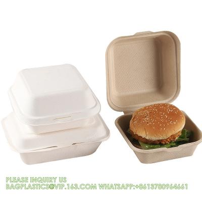 China Sugarcane Pulp Clamshell Bagasse Takeout Bento Lunch Box Food Container For Hamburger for sale