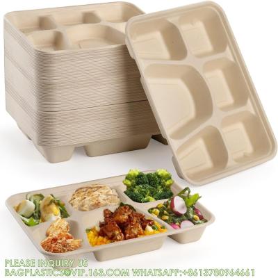 China 5 Compartment Snack Food Tray Sugarcane Bagasse Plate Disposable Plates Eco-Friendly White Natural Bagasse Plates for sale