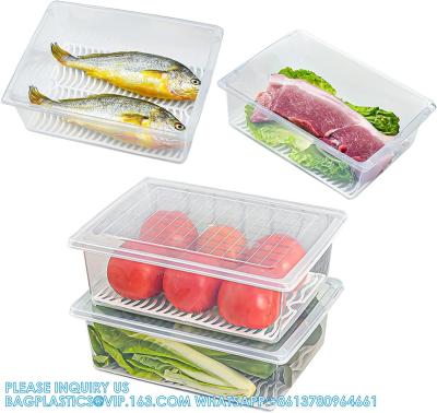 China Containers With Removable Drain Plate And Lid, Stackable Portable Freezer Storage Containers - Tray for sale
