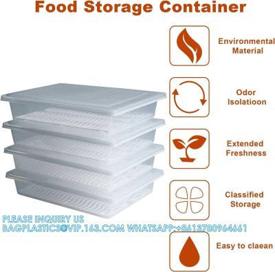 China Stackable Portable Freezer Storage Containers - Tray To Keep Fruits, Vegetables, Meat And More for sale