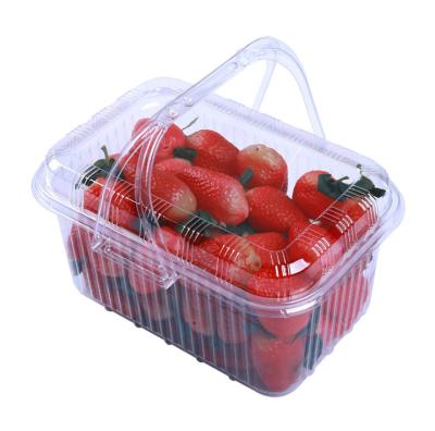 China Fruit Organizer, Degradable Transparent Plastic Fruit Box Packaging With Handle, fruit box, vegetable box for sale