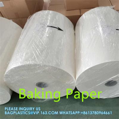 China Papel para hornear de pergamino recubierto de silicona Jumbo Roll, resistente a la grasa, impermeable al agua y pre-cortado en venta