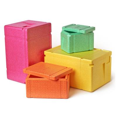 China OEM Expanded Polypropylene EPP Foam Forming Cooler Box For Food Epp Foam Cooler Box For Traveling or Camping for sale