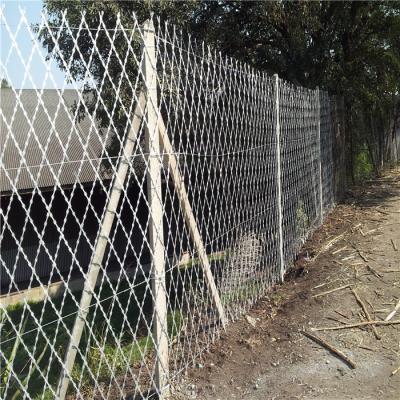 China Razor Wire 100m Coiled Security Barb Fence for sale