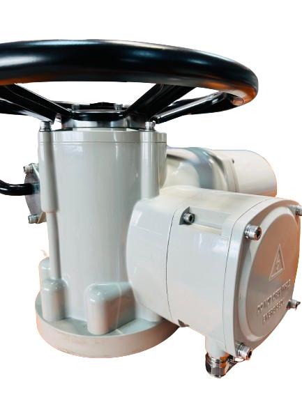 Quality 200NM IP67 Multi Turn Electric Actuator Custom With Thermal Protection for sale