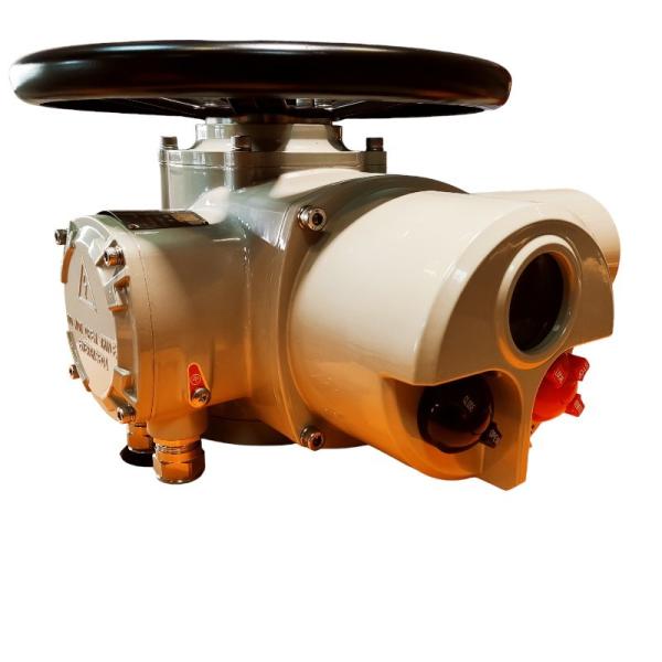 Quality Multi Turn Explosion Proof Electric Actuator 220V AC Custom Motor Power 0.18 KW for sale